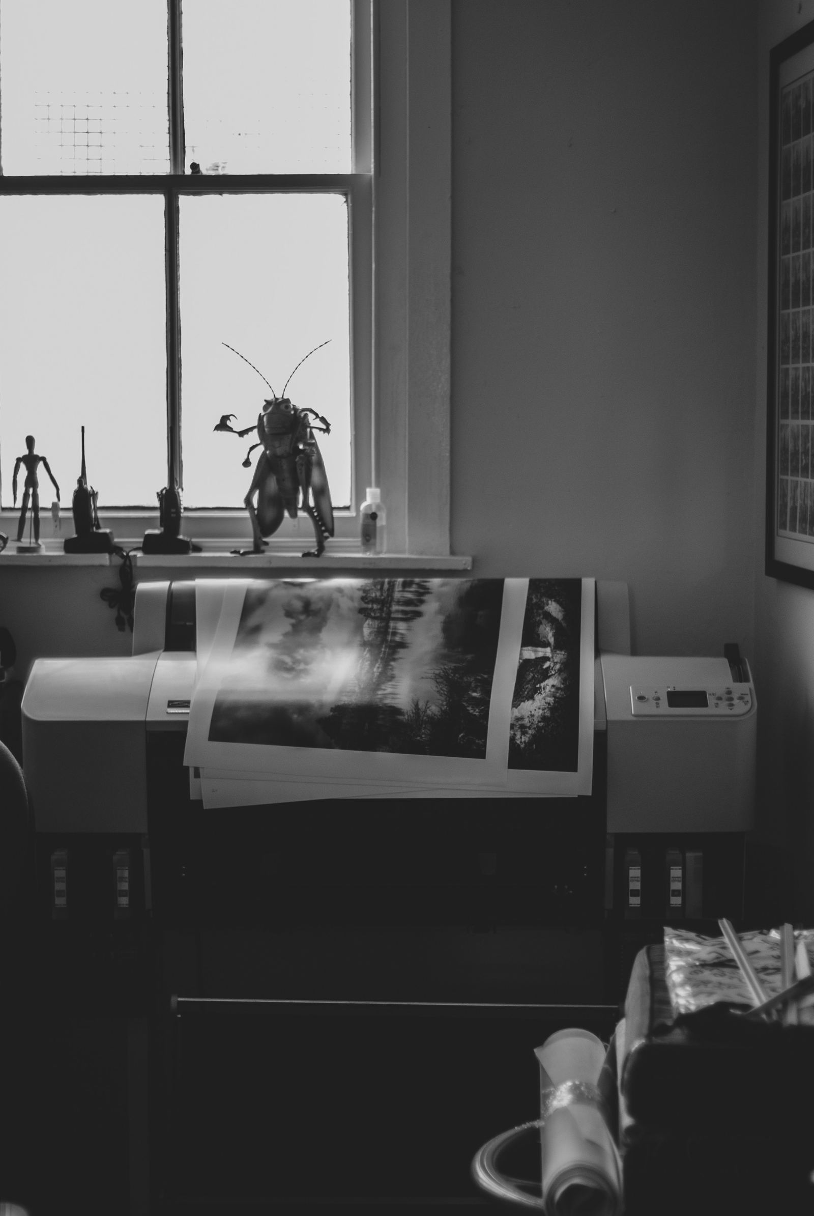 Vinyle adhésif et découpe